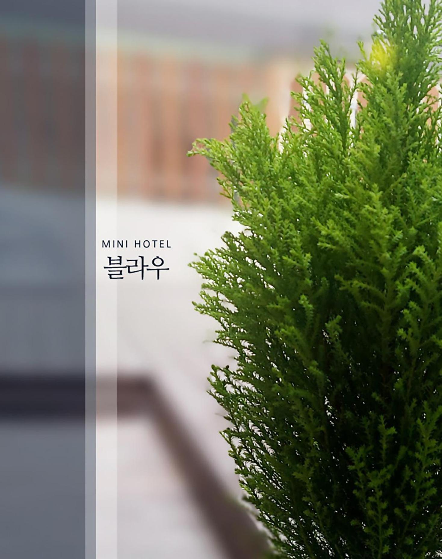 Blau Guesthouse Gyeongju Dış mekan fotoğraf
