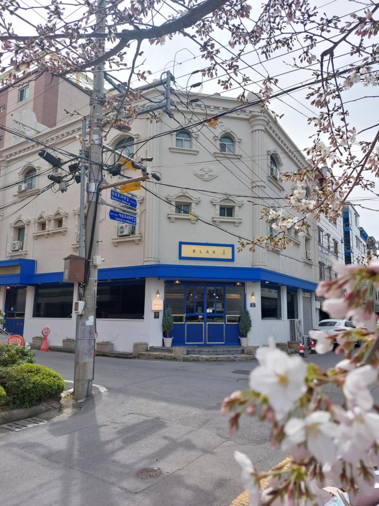 Blau Guesthouse Gyeongju Dış mekan fotoğraf